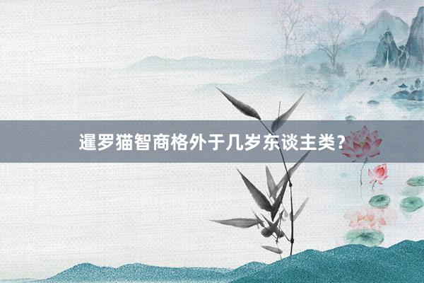 暹罗猫智商格外于几岁东谈主类？